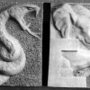 Pannelli  - Pannelli modellati con animali associati alle lettere dell’alfabeto. Scuola di Roberto Rosati.Scarica il file